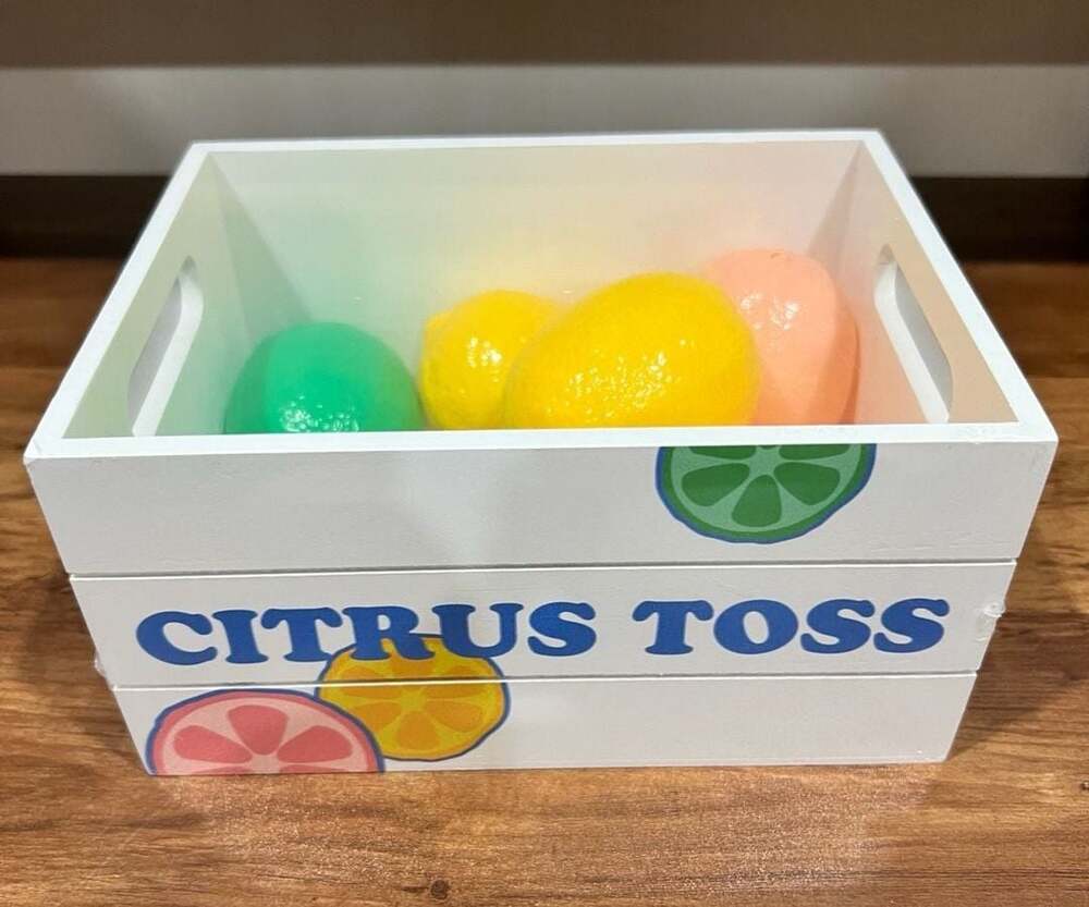 Made For Retail Citrus Toss Game